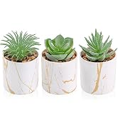 Der Rose 3 Pack Fake Succulent Plants in Gold Accent Pots for Desk Decor | Cute small fake plants...