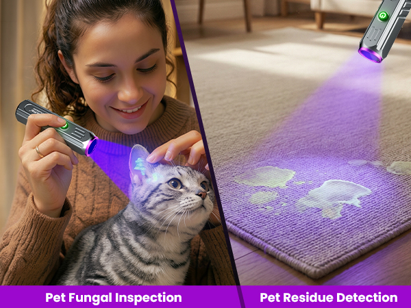 uv light flashlight