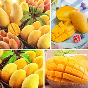 Sturdy Mango Slicer