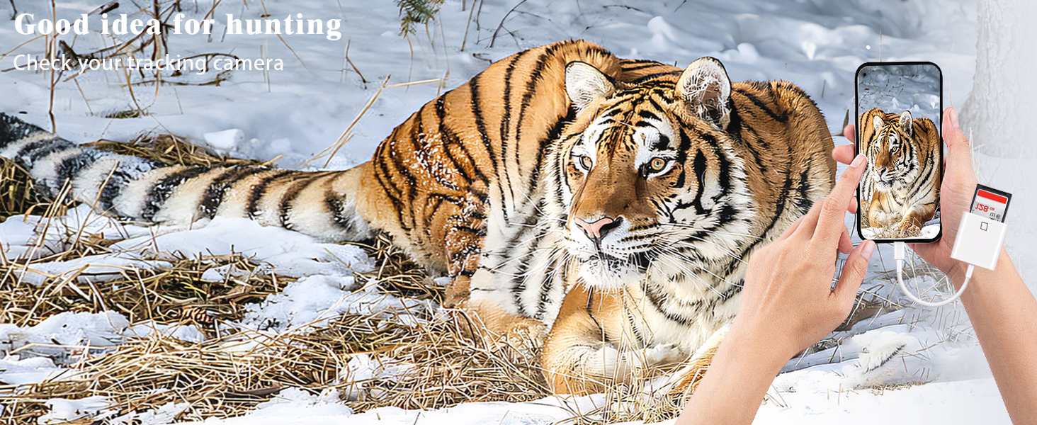 iPhone SD card reader USB C USB C SD card reader for iPhone15 USB C memory card reader for iPhone