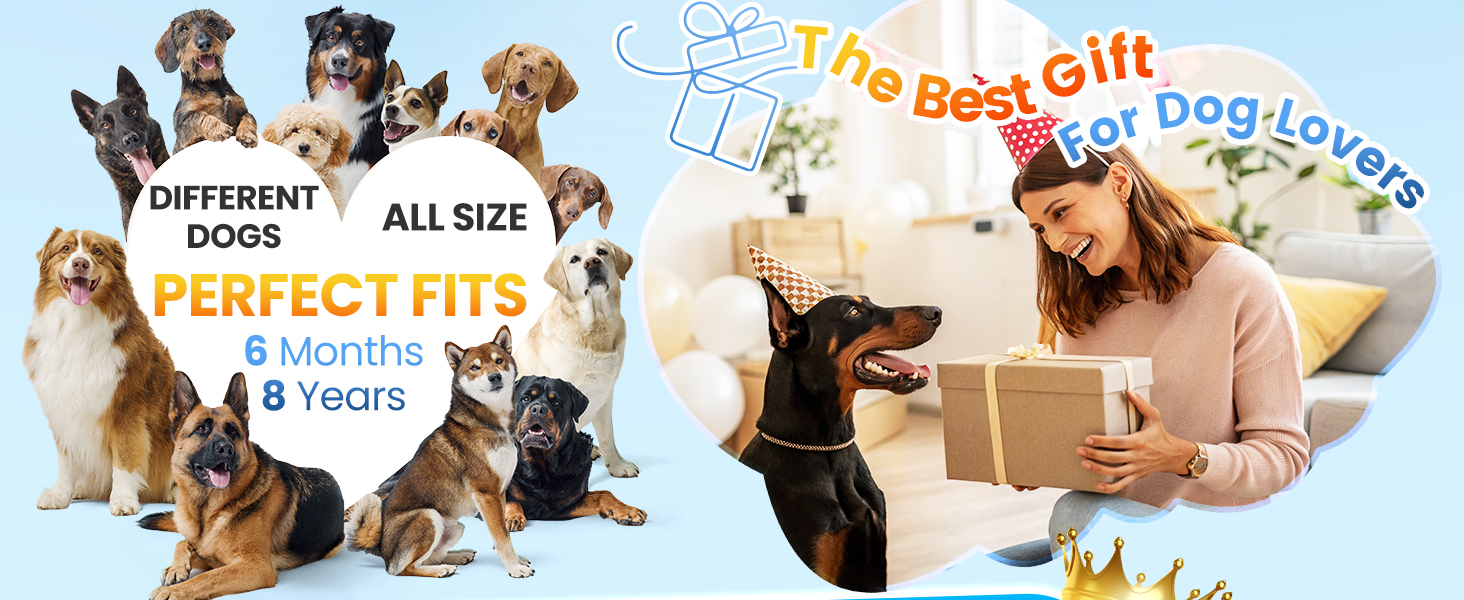 dog bark control anti bark