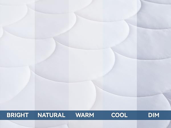 Colors May Vary in Different Lights