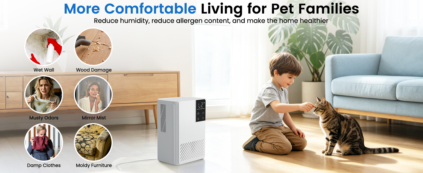 dehumidifiers for home