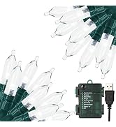 Green Convenience Christmas Lights 33ft 100 LED Battery String Lights with Timer Memory Function ...