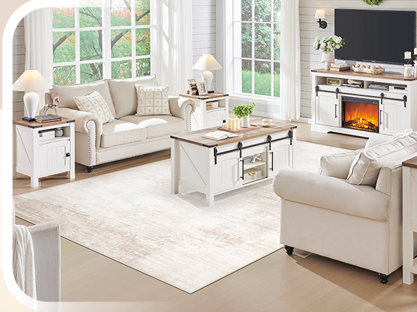 Living Room Rug