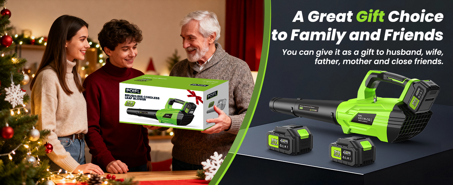 cordless leaf blower