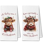 ChissNook Winter Highland Cow Christmas Kitchen Towels, Highland Cow Gifts Dish Towels Drying Clo...