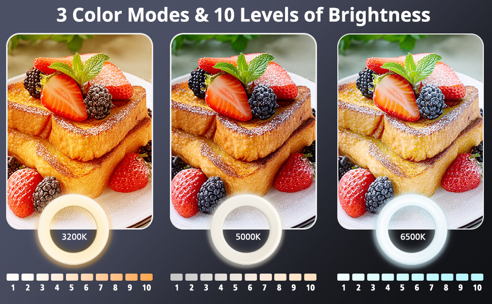 ring light with phone holder