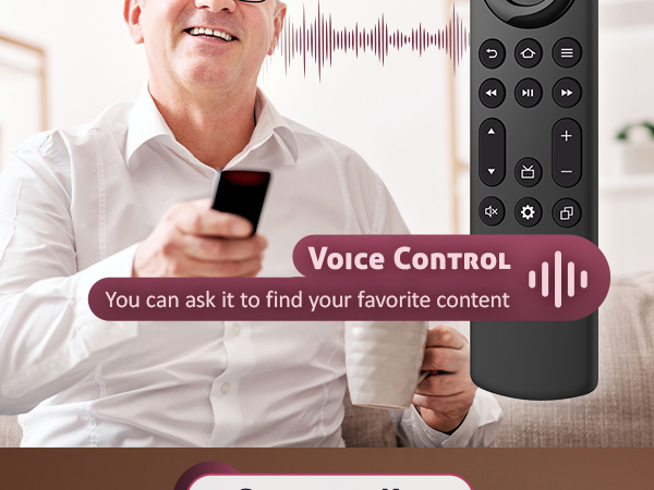 Replacement Voice Remote