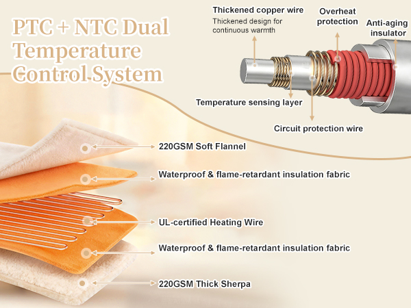 PTC + NTC Dual Temperature Control System