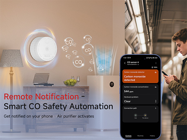 carbon monoxide detector smart matter remote notification