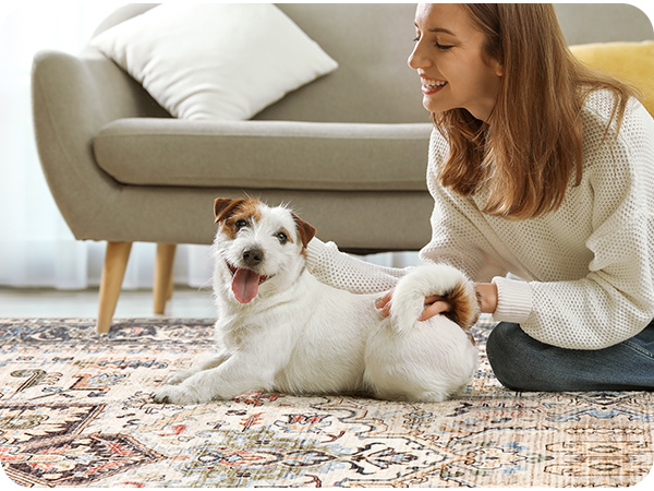 rug for bedroom Pet Friendly