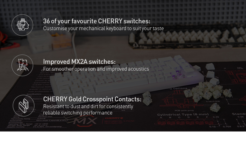 cherry mx2a speed silver switch kit image three
