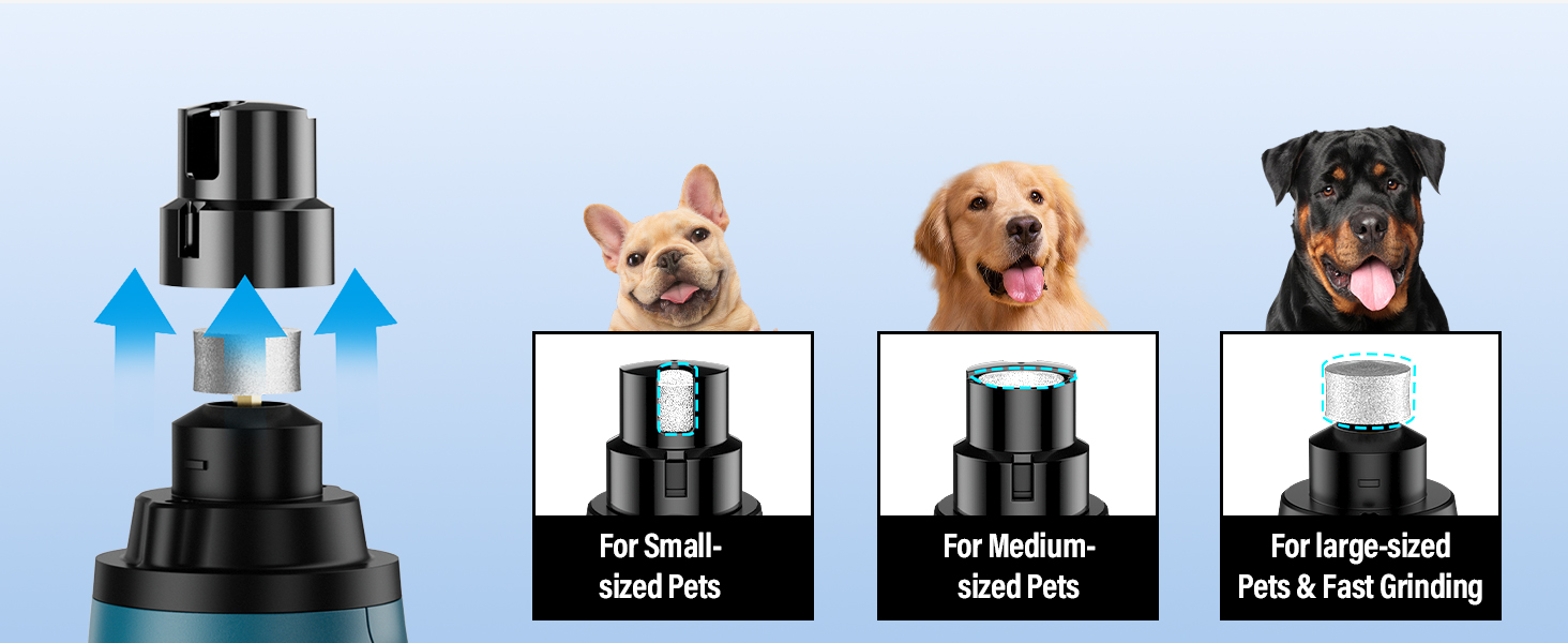 Fit for All Size Dogs