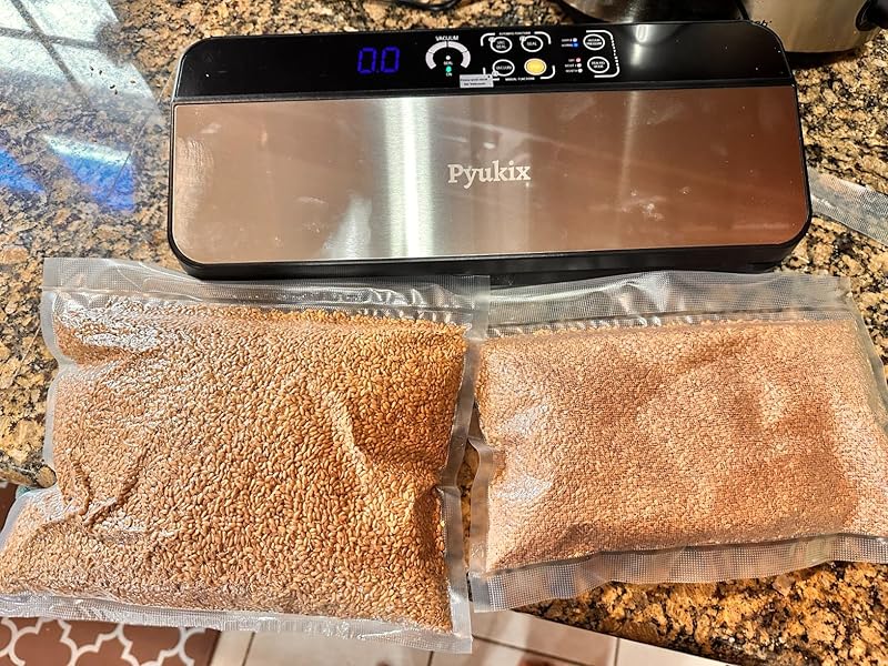 vacuum sealer for food freezer