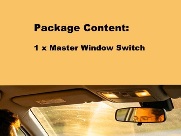 Window Main Switch