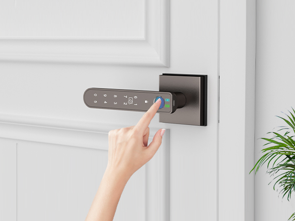 Interior keypad door knob Fingerprint Unlock grey
