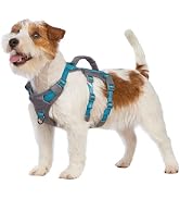 Huntboo Reflective Dog Harness with Handle, Escape Proof, No Slip, Breathable, Lightweight, Adjus...