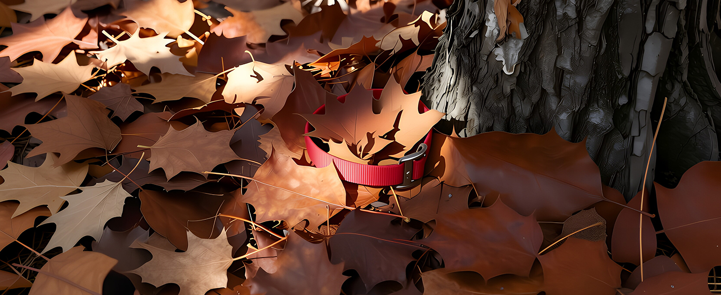 Key Finder 1 Transmitter 4 Receivers, 80dB+ Wireless Item Locator 164ft Range