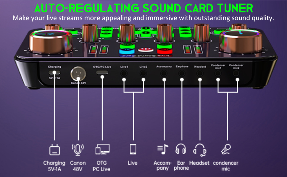 Live Sound Card