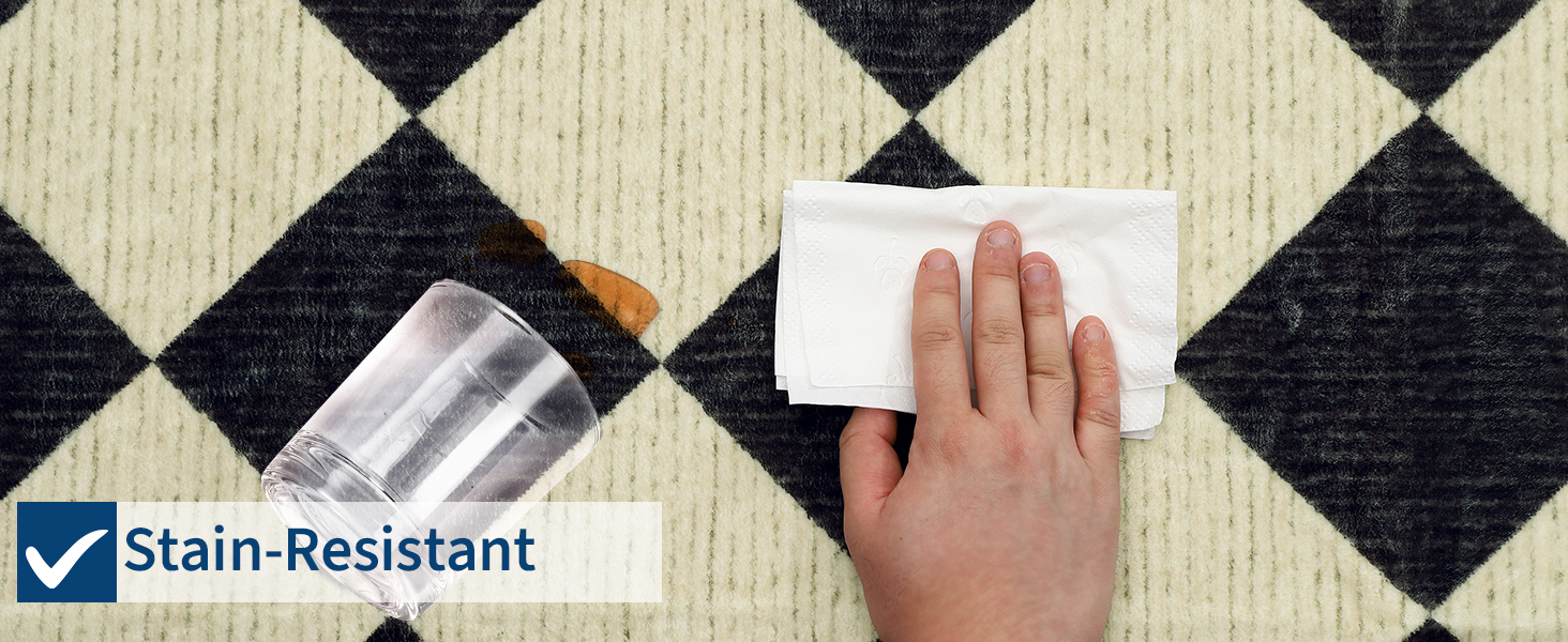 Stain Resistant Area Rug