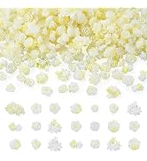 Craftdady 200Pcs Rose Flower Cabochons with Glitter Powder Flatback Undrilled Resin Mini Floral C...
