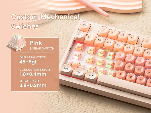 Custom Mechanical Swiches