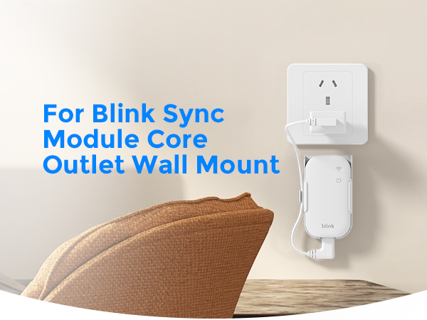 Blink Sync Module Core
