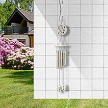 Shower Curtain Rings