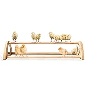 TonGass 16" Extra Long Chicken Perch - Freestanding Roosting Bar for Baby Chicks with Built-in Mi...