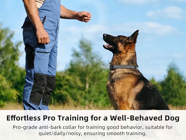 BARK COLLAR