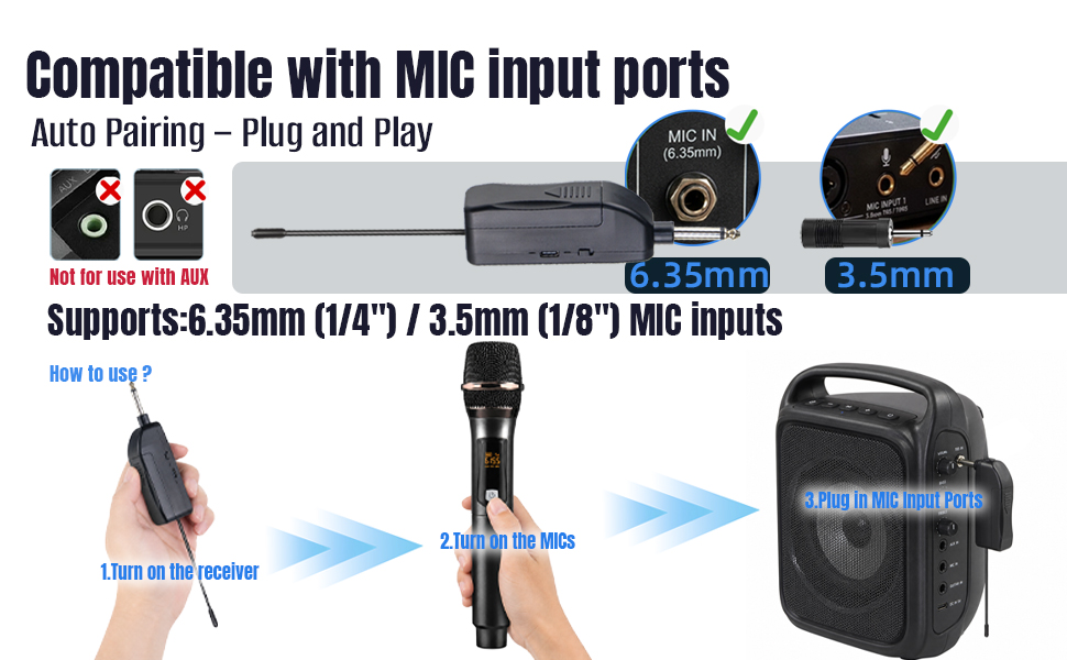 MIC