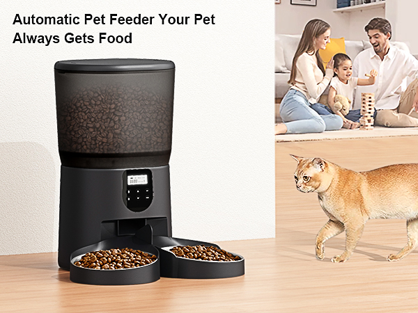 cat feeder