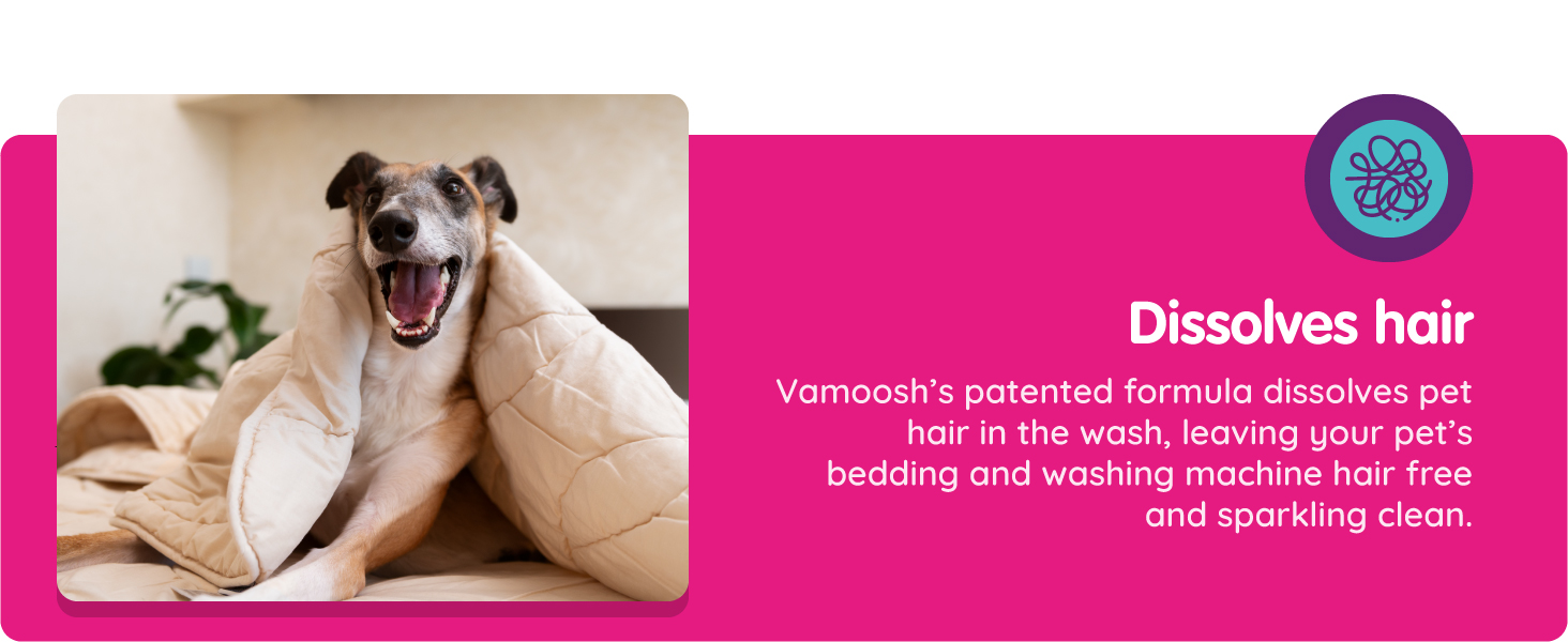 a dog with a blanket on it