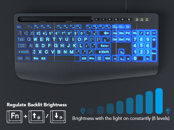 Backlit keyboard and mouse