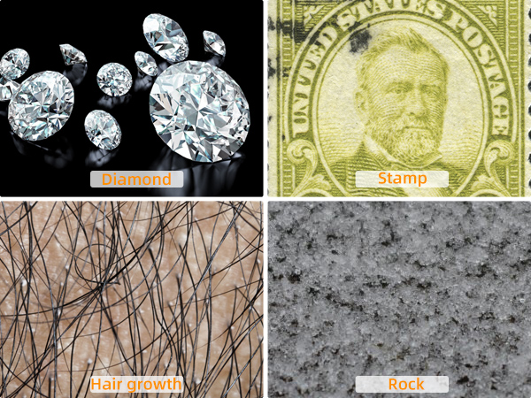 Microscope for Coins/Plant/Rock/Circuit Board