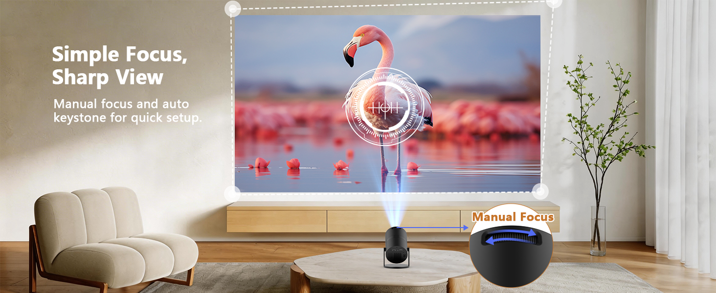 mini outdoor projector