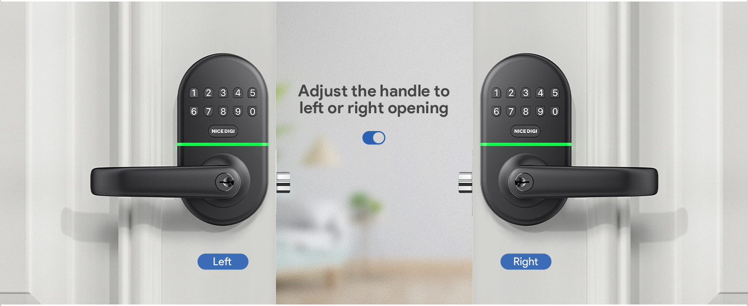 Reversible Handle Lock