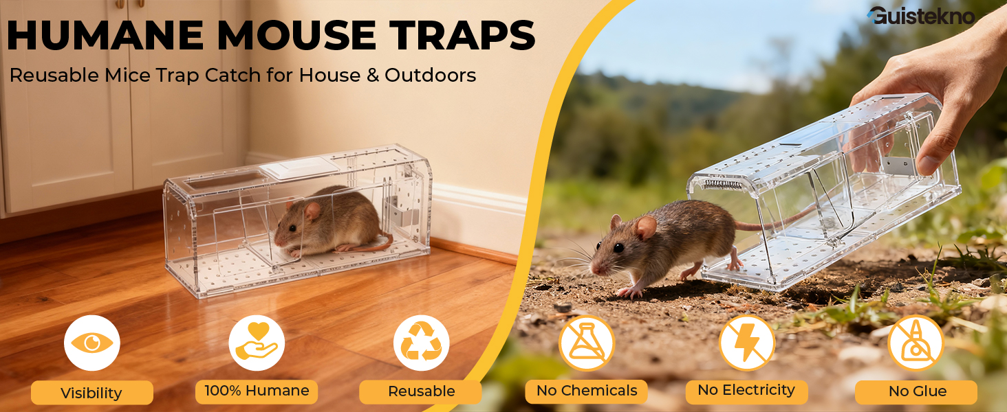 mouse trap humane