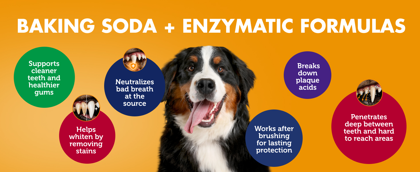 Baking soda + Enzymatic Formulas