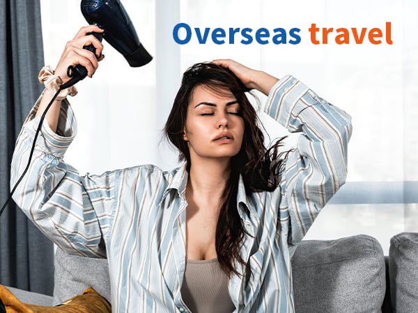 voltage converter for travel