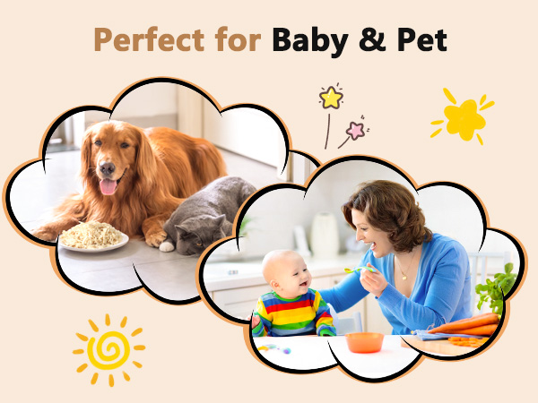 electric chicken shredder