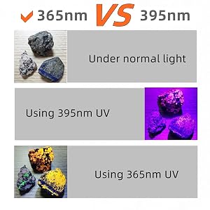 Different display effect of ore under 365nm and 395nm UV light