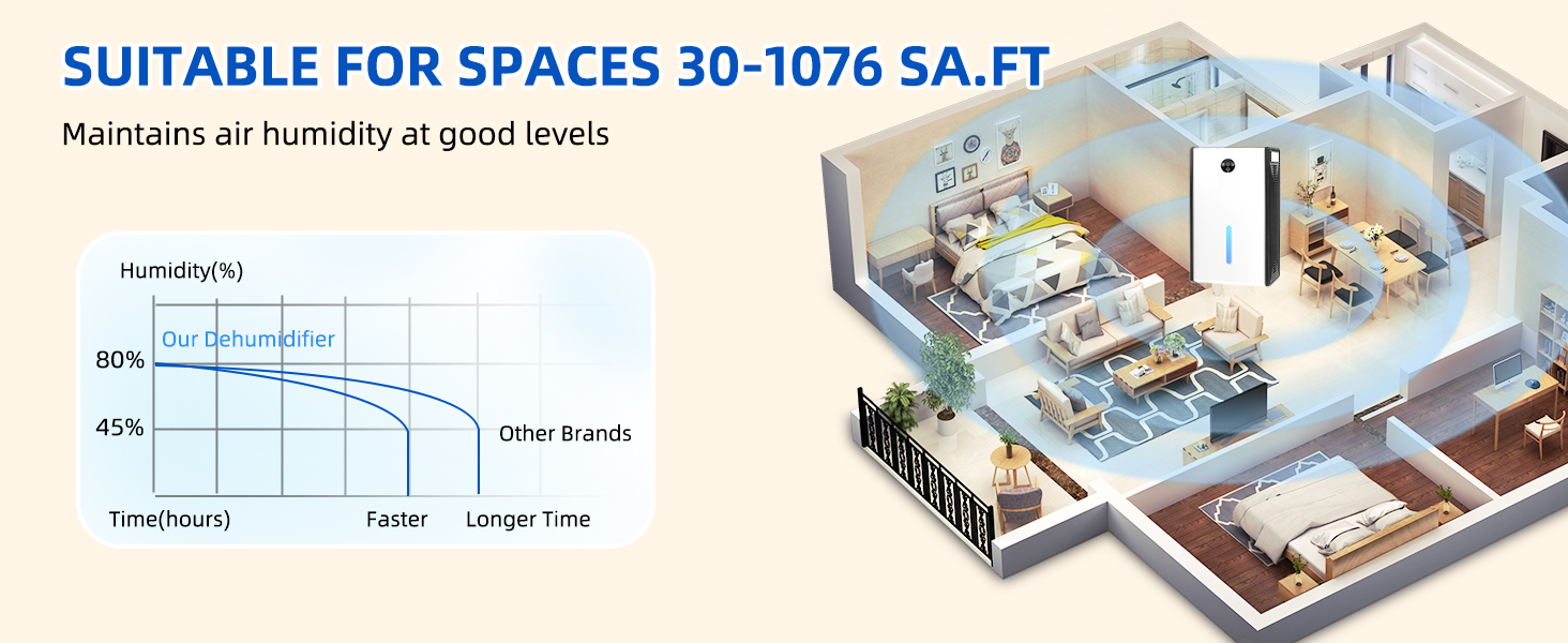 dehumidifier for basement