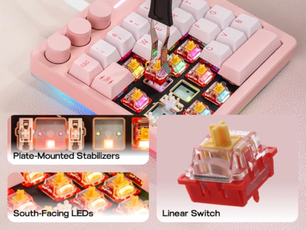 Cybrix29 Pink