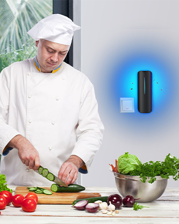 fly trap indoor plug