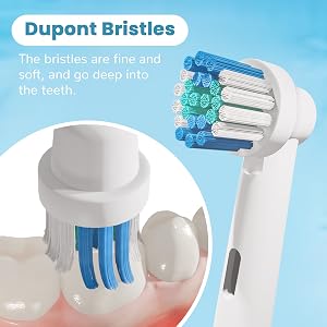 Professional Electric Toothbrush Brush Heads