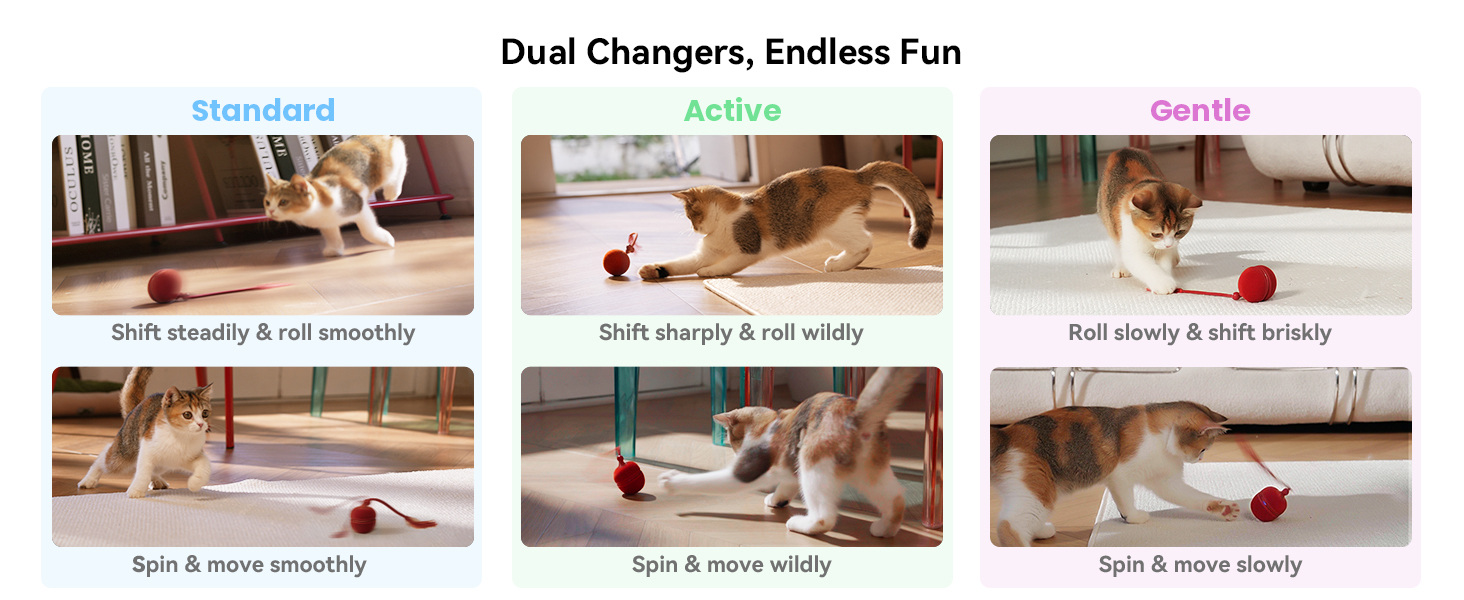 cat toys for bored indoor adult cats