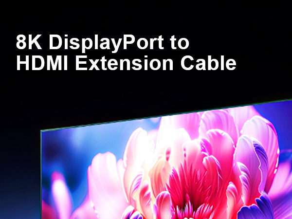 display port to hdmi adapter