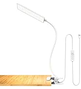 LED Desk Lamp, RAOYI 5W USB Clip on Light Eye-Caring Reading Clamp Table Lamp with 48 LEDs Flexib...